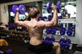 Rear view of a young male doing heavy weight exercise with dumbbells. Royalty Free Stock Photo