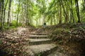 Rear view of young male hiking in forest, Koh Pha Ngan, Thailand Royalty Free Stock Photo