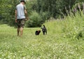 Rear view of young man in cap walking with black cat in red harness on leash and gray fluffy dog on green grass, friendship pet Royalty Free Stock Photo