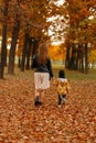 Rear view on a young mother in fashionable clothes and a child in a park with trees with orange foliage. Weekend with family