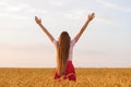 Rear view of young woman on background of wheat field. Beautiful long hair. Hair care Royalty Free Stock Photo