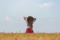 Rear view of young woman with beautiful healthy long hair. Wheat field Royalty Free Stock Photo