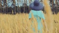 Rear view of young woman in dress and hat standing in wheat field. Unknown woman in ears of wheat on walk in countryside