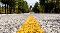 Rear view of young woman with hands up walking along yellow dividing line of empty road among forest.