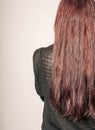 Rear view of a young woman with long brown hair against gray background copyspace Royalty Free Stock Photo