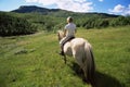 Rear view of young woman riding horse Royalty Free Stock Photo