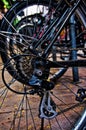 Rear wheel of a bicycle with its sprockets in the foreground. Royalty Free Stock Photo