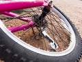 Child Bicycle Tire on a Pink Bike