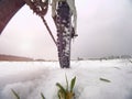 Rear wheel detail of mtb. Snow flakes melting on dark off road tyre. Winter in field.