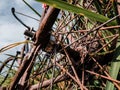 the rear wheel gear of a farmer\'s bicycle that is wrapped in a small thread and has rusted