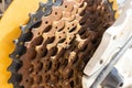 Rear wheel of a mountain bike. Close-up of the gear Royalty Free Stock Photo