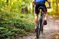 Rear wheel of a mountain bike .Spring, nature ,sport concept Royalty Free Stock Photo