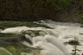 Rearguard Falls in Fraser River, west Canada