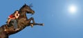 Rearing horse Royalty Free Stock Photo