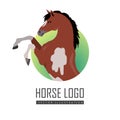 Rearing Pinto Horse Illustration in Flat Design