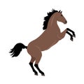 Rearing Sorrel Horse Illustration in Flat Design