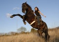 Rearing stallion and girl Royalty Free Stock Photo
