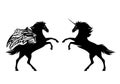 Rearing up heraldic unicorn and winged pegasus horse black and white vector silhouette Royalty Free Stock Photo