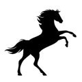 Rearing up horse black vector silhouette Royalty Free Stock Photo