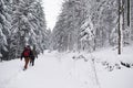 Couple hiking along a snow covered forest trail in winter Royalty Free Stock Photo