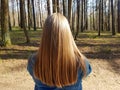 A rearview shot of a beautiful young woman`s long red hair. Rear view of a red-haired girl Royalty Free Stock Photo