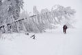 Couple hiking along a snowy forest trail in the wintertime Royalty Free Stock Photo