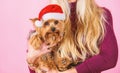 Reason love christmas with pets. Ways to have merry christmas with pets. Girl attractive blonde hold dog pet pink Royalty Free Stock Photo