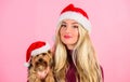 Reason love christmas with pets. Ways to have merry christmas with pets. Woman and yorkshire terrier wear santa hat Royalty Free Stock Photo