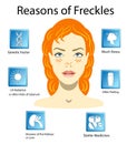 Reasons of freckles, vector illustration