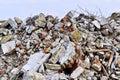 The rebar sticking up from piles of brick rubble, stone and concrete rubble.