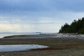 Rebecca Spit beach landscape, Quadra Island BC