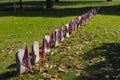 Rebel Flags Honor Graves of Unknown Civil War Soldiers Royalty Free Stock Photo