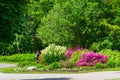 Rebirth of nature on Notre-Dame Island