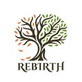 Rebirth tree emblem Royalty Free Stock Photo