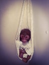 Reborn baby monkey