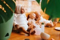 Reborns of different races, handmade afro american and caucasian newborn dolls on table in home workshop Royalty Free Stock Photo