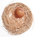Recall Concept Egg in Nest