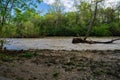 Receding Flood Water on the Roanoke River Greenway Royalty Free Stock Photo