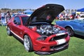 Awesome High Performance Ford Mustang