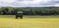 Recently cut hay field Royalty Free Stock Photo