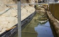 The recently discovered ancient Pool of Siloam in Jerusalem close to the exit from Hezekiah`s Tunnel. Royalty Free Stock Photo