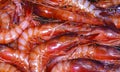Recently Fished Red Shrimp, Spain Royalty Free Stock Photo