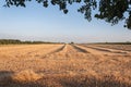 Recently Harvested Wheat Fields Royalty Free Stock Photo