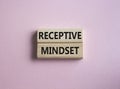 Receptive Mindset symbol. Concept word Receptive Mindset on wooden blocks. Beautiful pink background. Business and Receptive