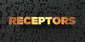 Receptors - Gold text on black background - 3D rendered royalty free stock picture