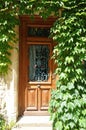Front door surrounded by ivy Royalty Free Stock Photo