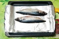 Recipe bonito baked in foil on a baking sheet Royalty Free Stock Photo