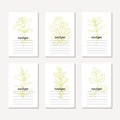 Recipe cards collection with hand drawn spicy herbs. Sketched tarragon, cilantro, parsley, rosemary, oregano, savory Royalty Free Stock Photo