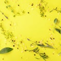 Recipe design template. Various seasoning, herbs and spices, shot from above on a vibrant yellow background, forming a