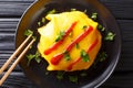 Recipe for Japanese omelette with rice, chicken, vegetables and Royalty Free Stock Photo